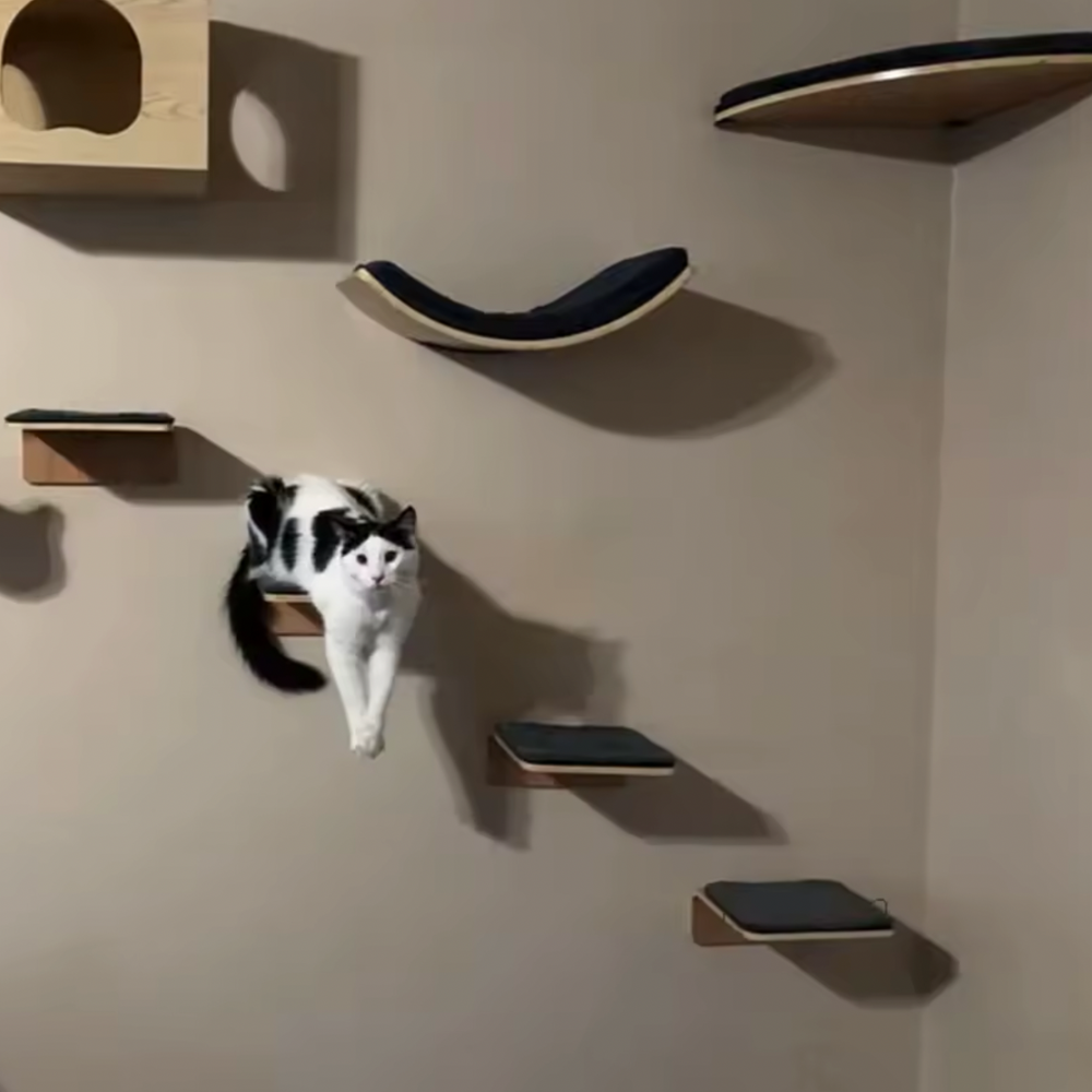 Curved Cat Climbing Shelves