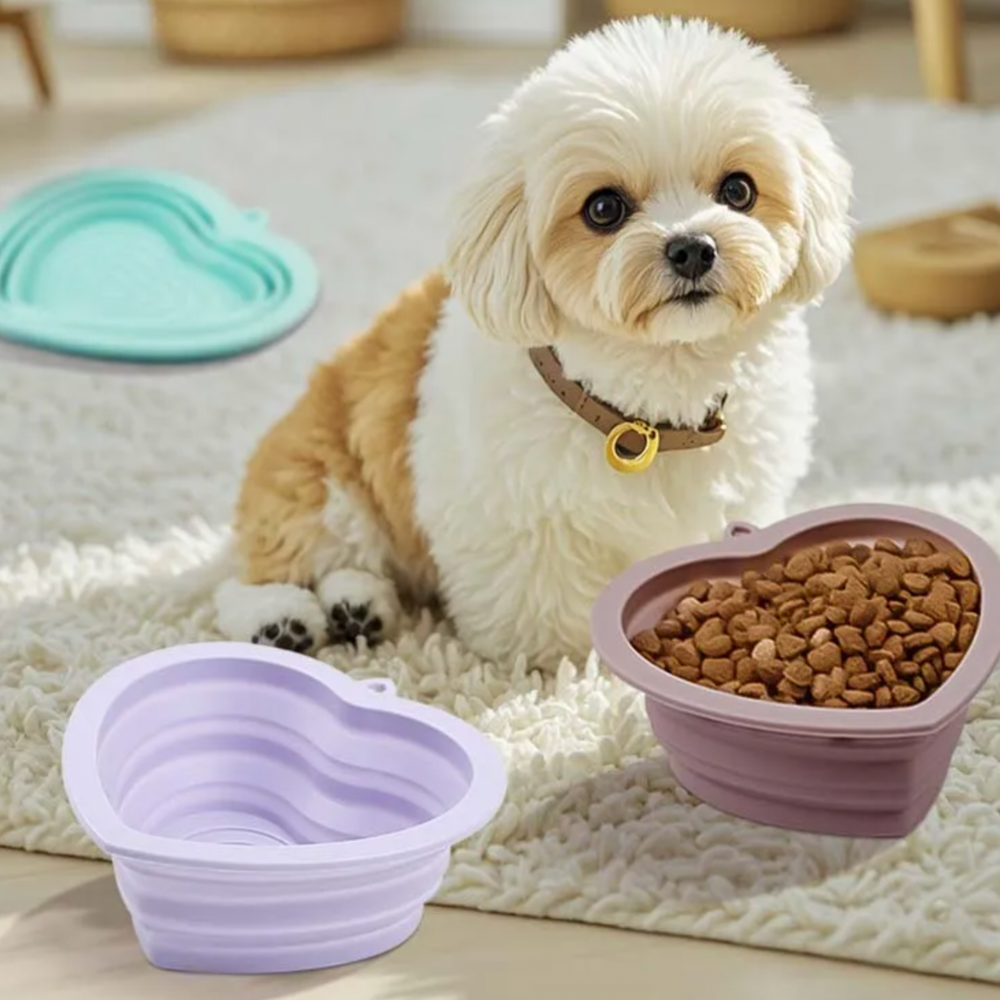 Foldable Silicone Pet Bowl