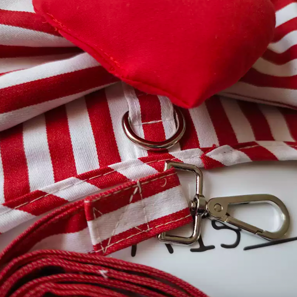 Heart Shaped Harness
