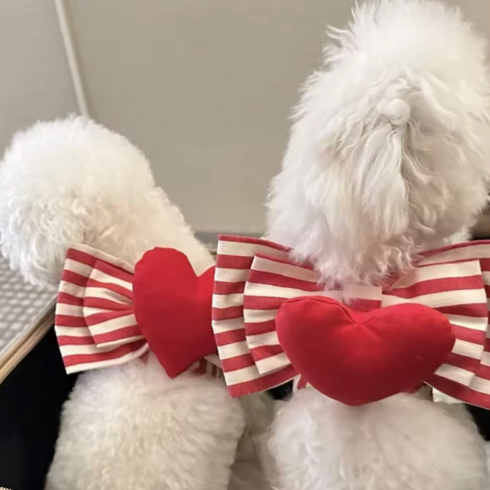 Heart Shaped Harness
