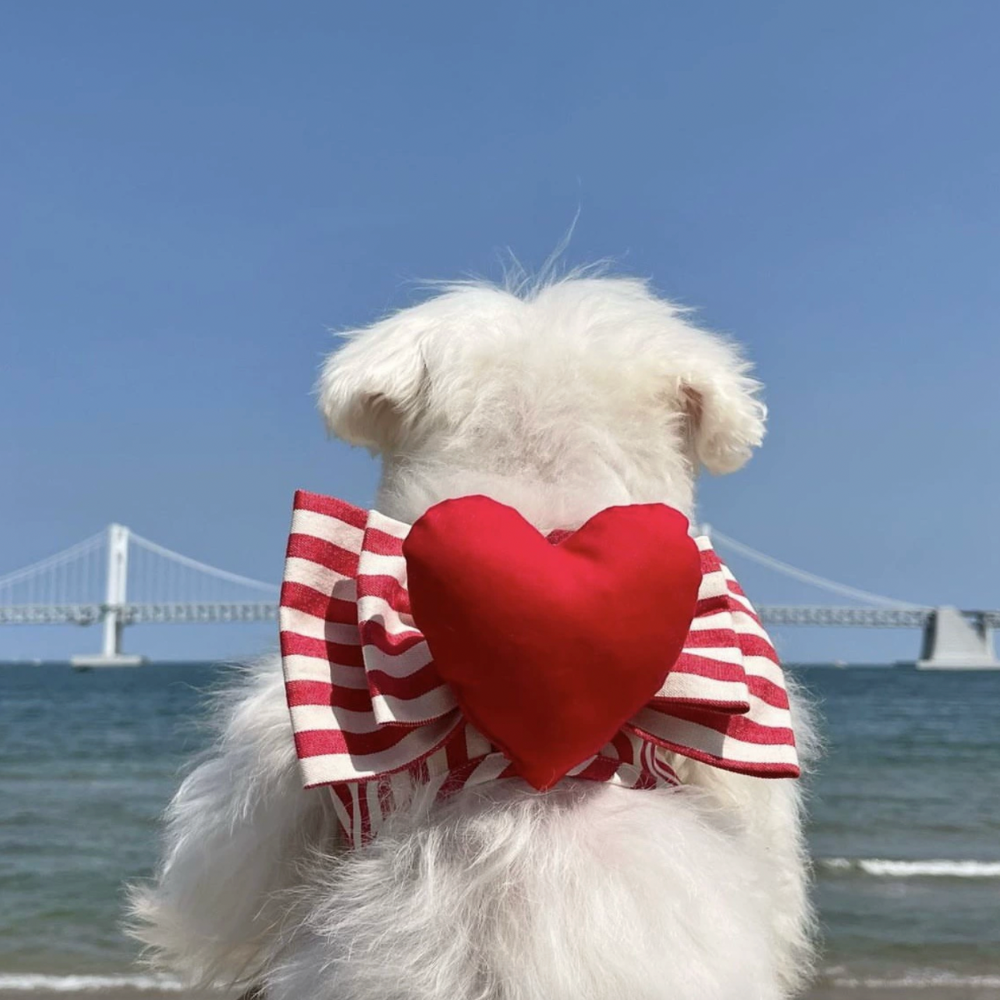 Heart Shaped Harness