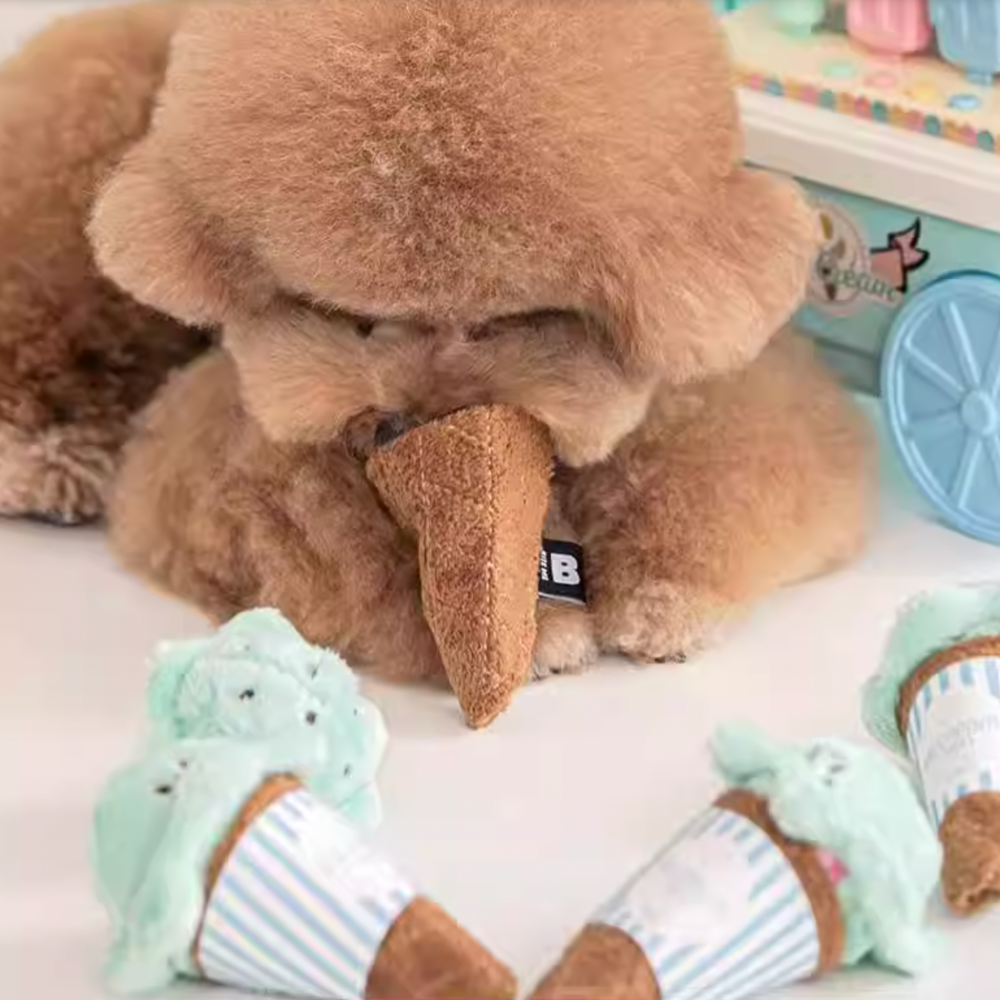 Ice Cream Squeaky Plush Toy