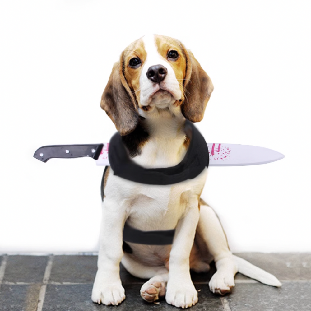 Halloween Knife Costume