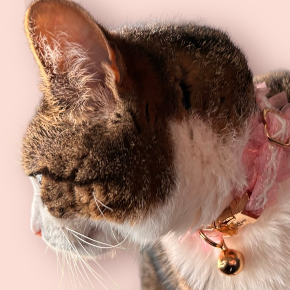 Lace Adjustable Cat Collar