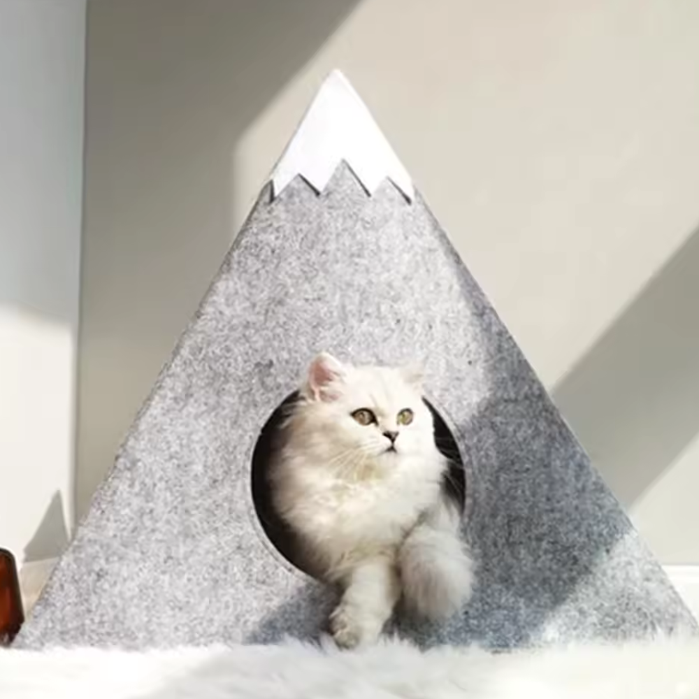 Felt Mountain Cave