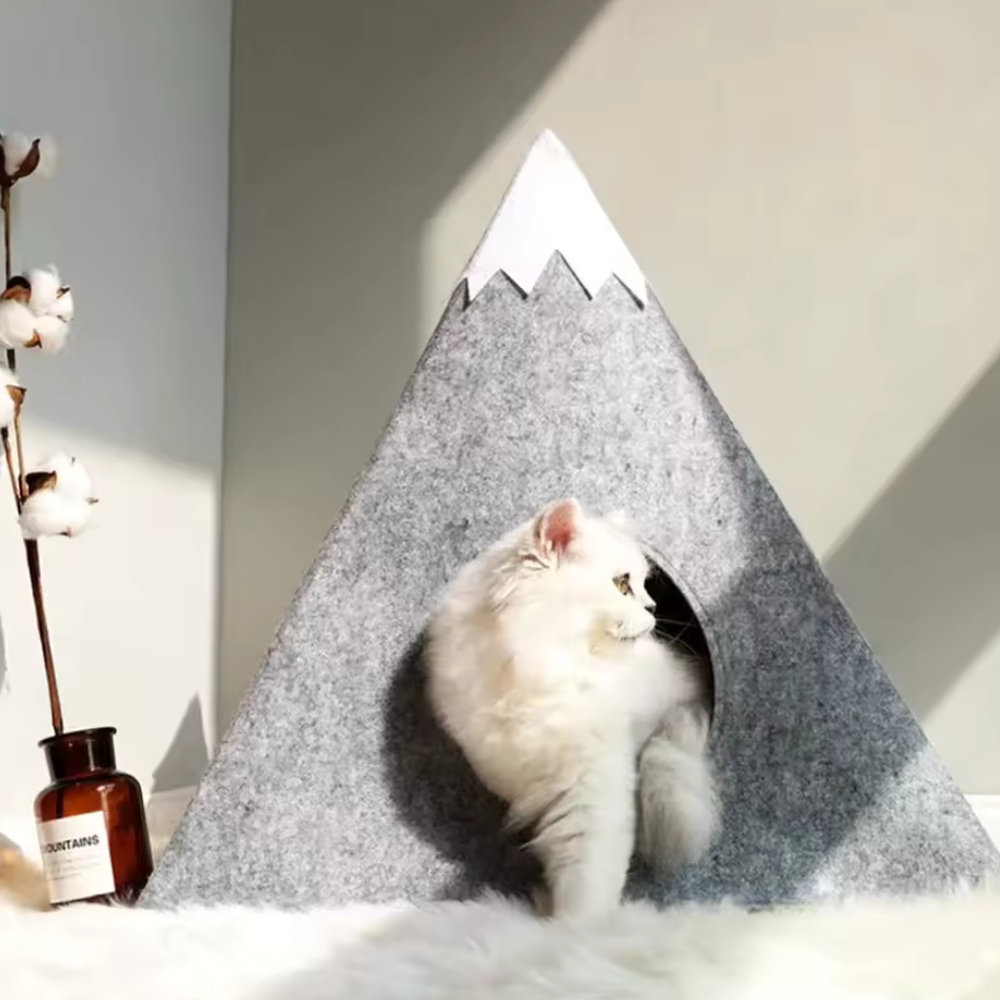 Felt Mountain Cave