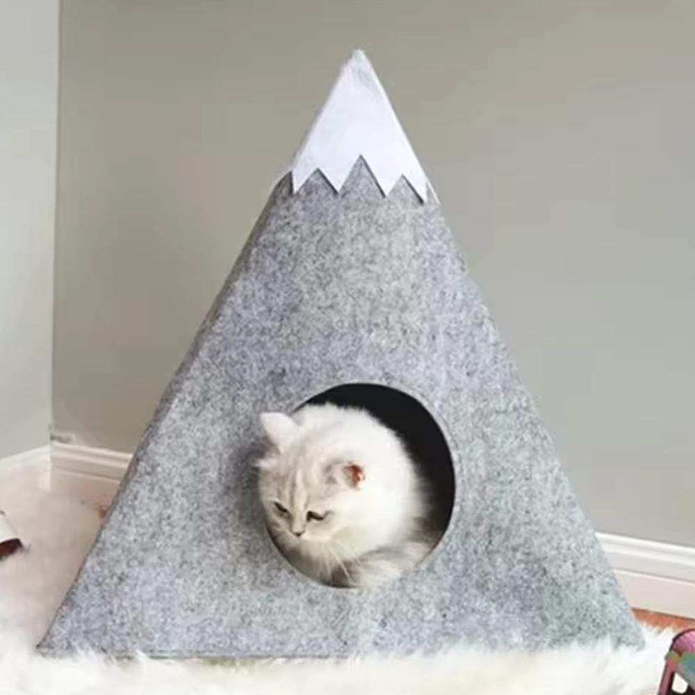 Felt Mountain Cave