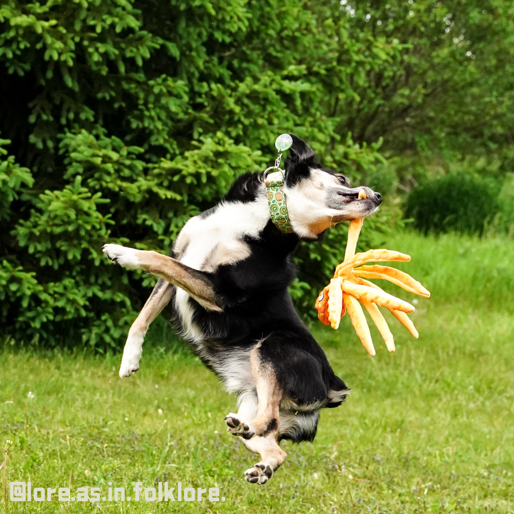 Squeaky Tug of War