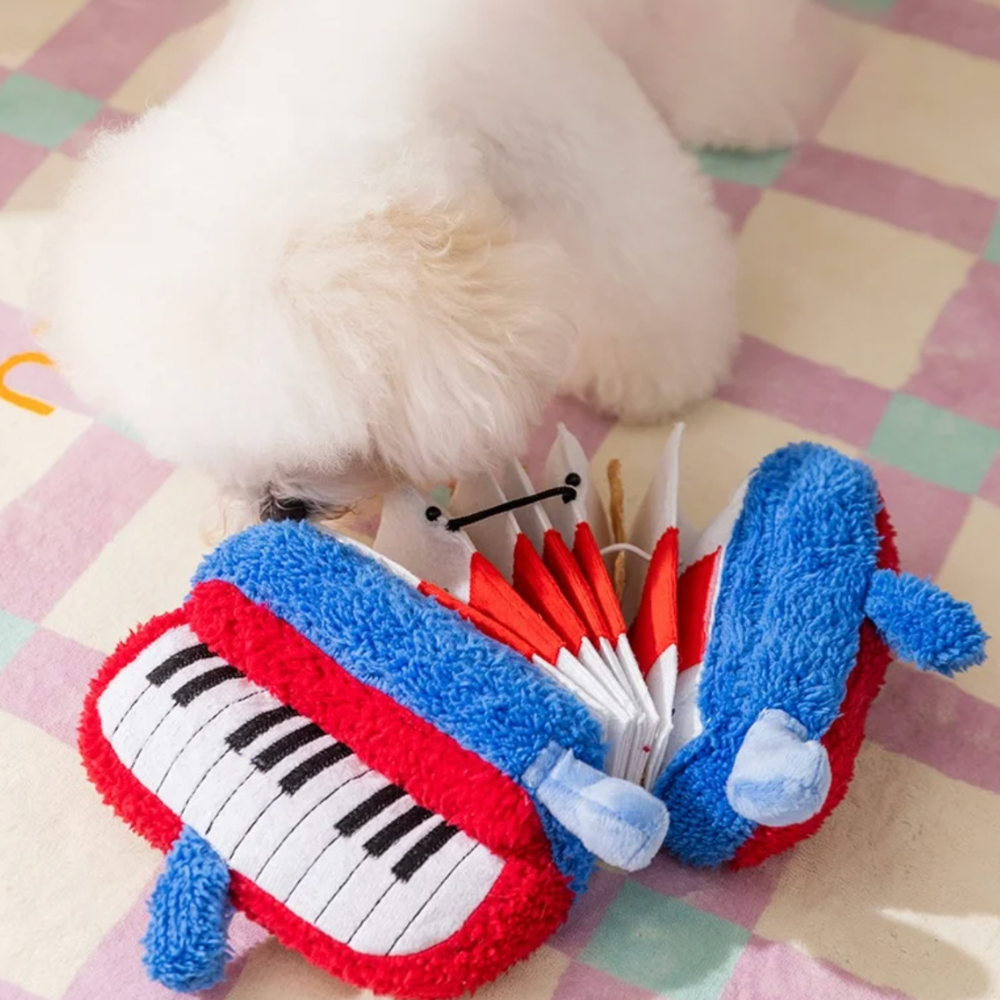Accordion Shaped Squeaker Toy