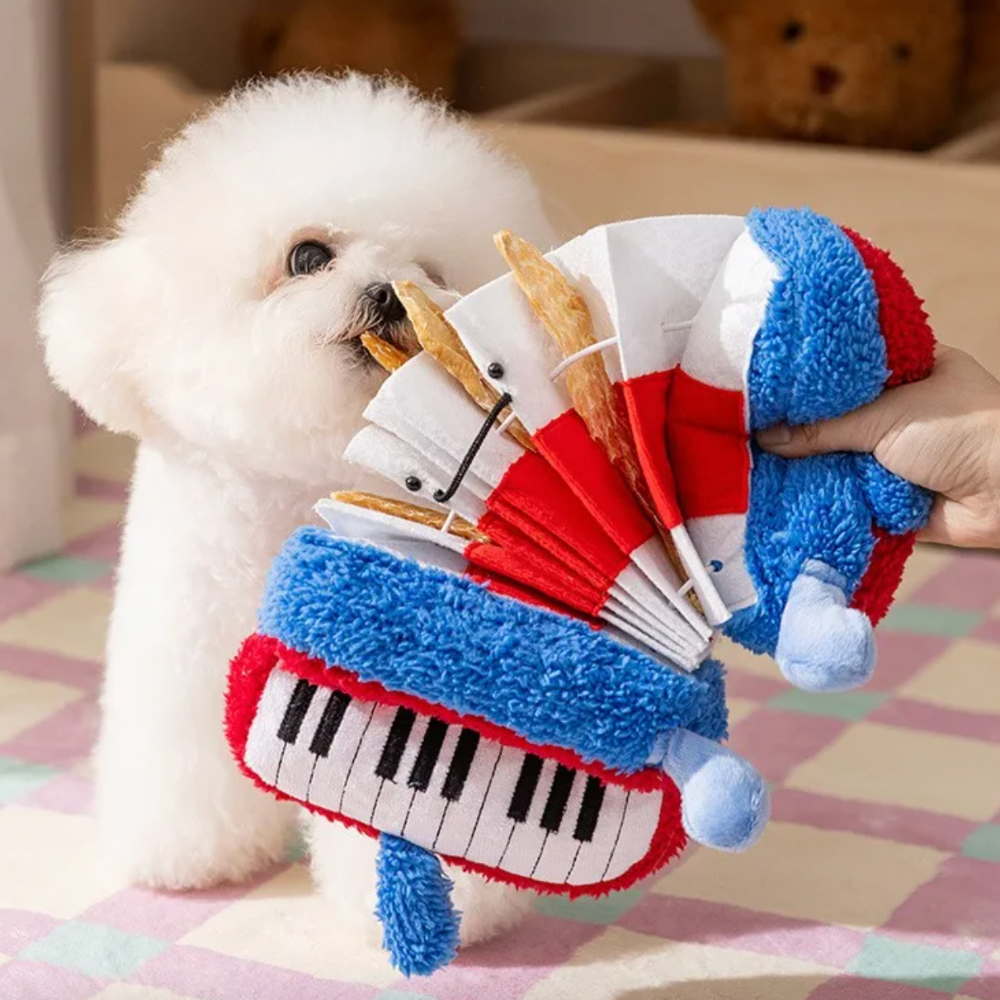 Accordion Shaped Squeaker Toy