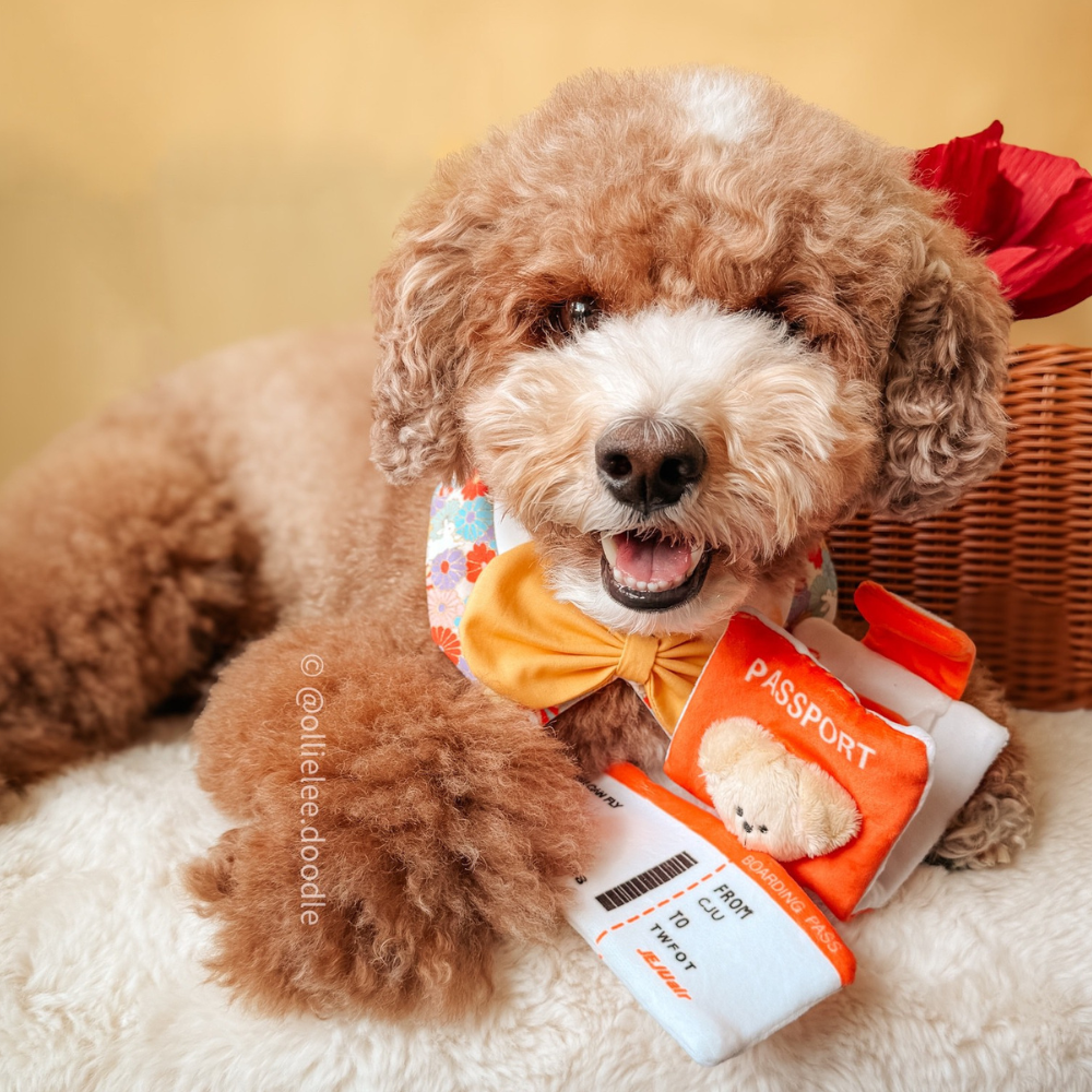 Passport Hiding Food Toy