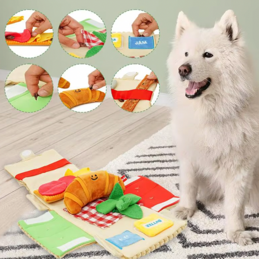 5-in-1 Picnic Toy Set