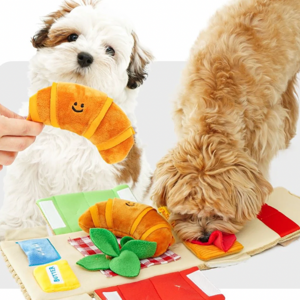 5-in-1 Picnic Toy Set