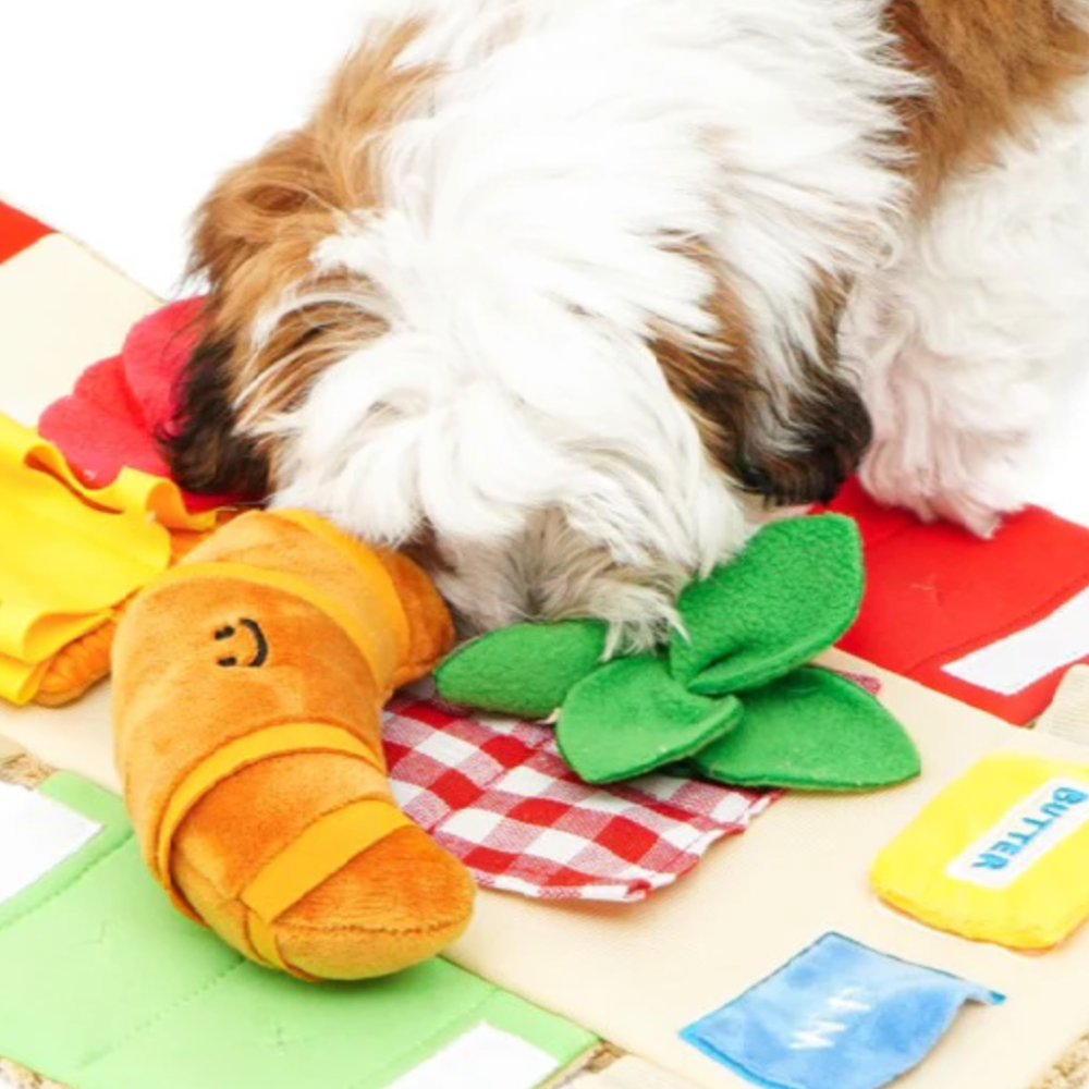 5-in-1 Picnic Toy Set