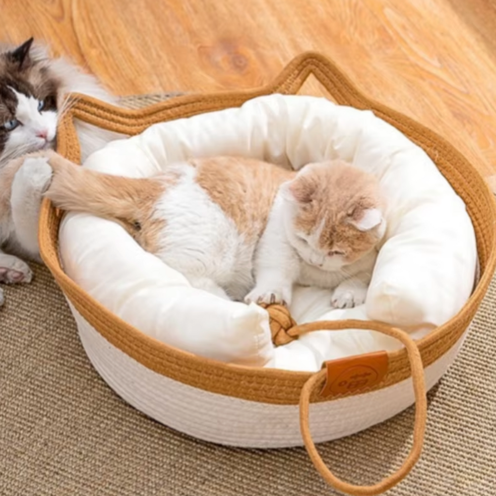 Cat Sofa With Ball