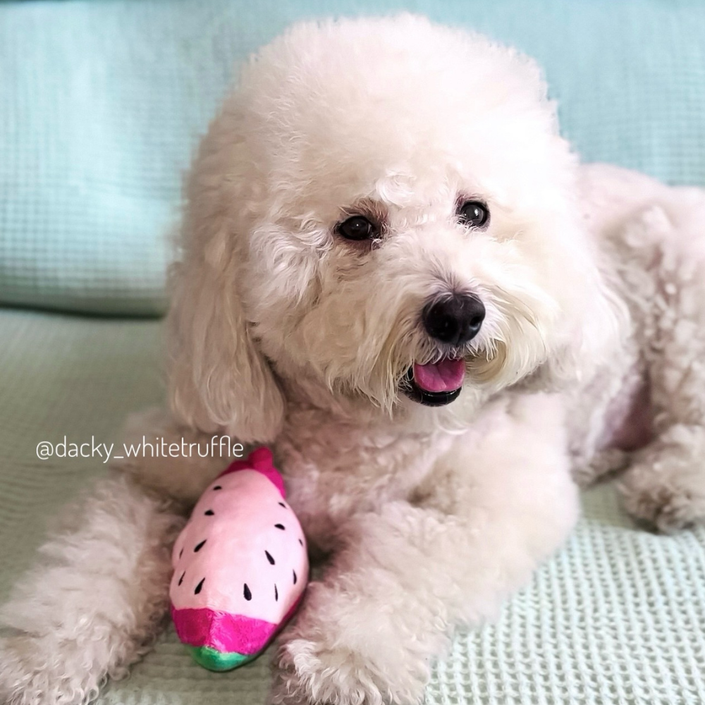 Pink Watermelon Toy