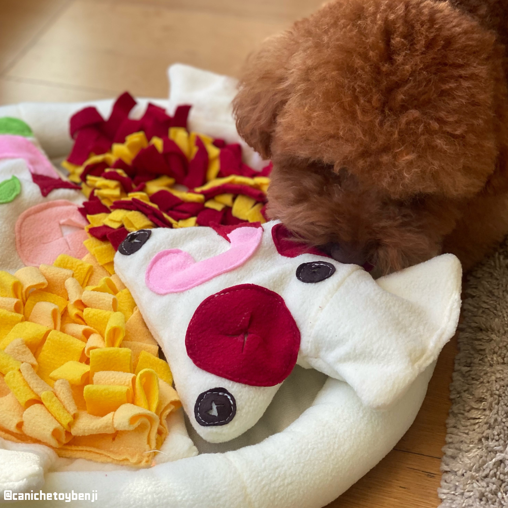 Pizza Shaped Snuffle Mat