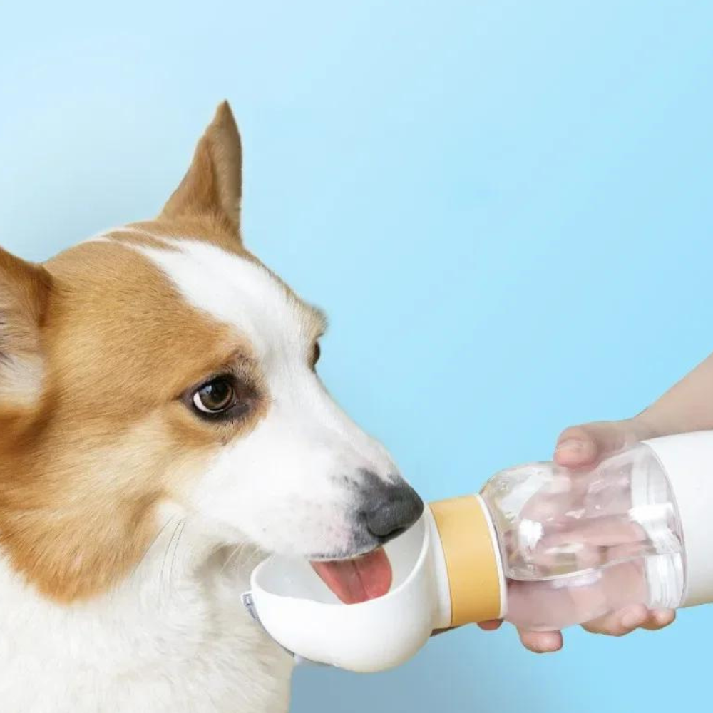 Cloud Shaped Bottle