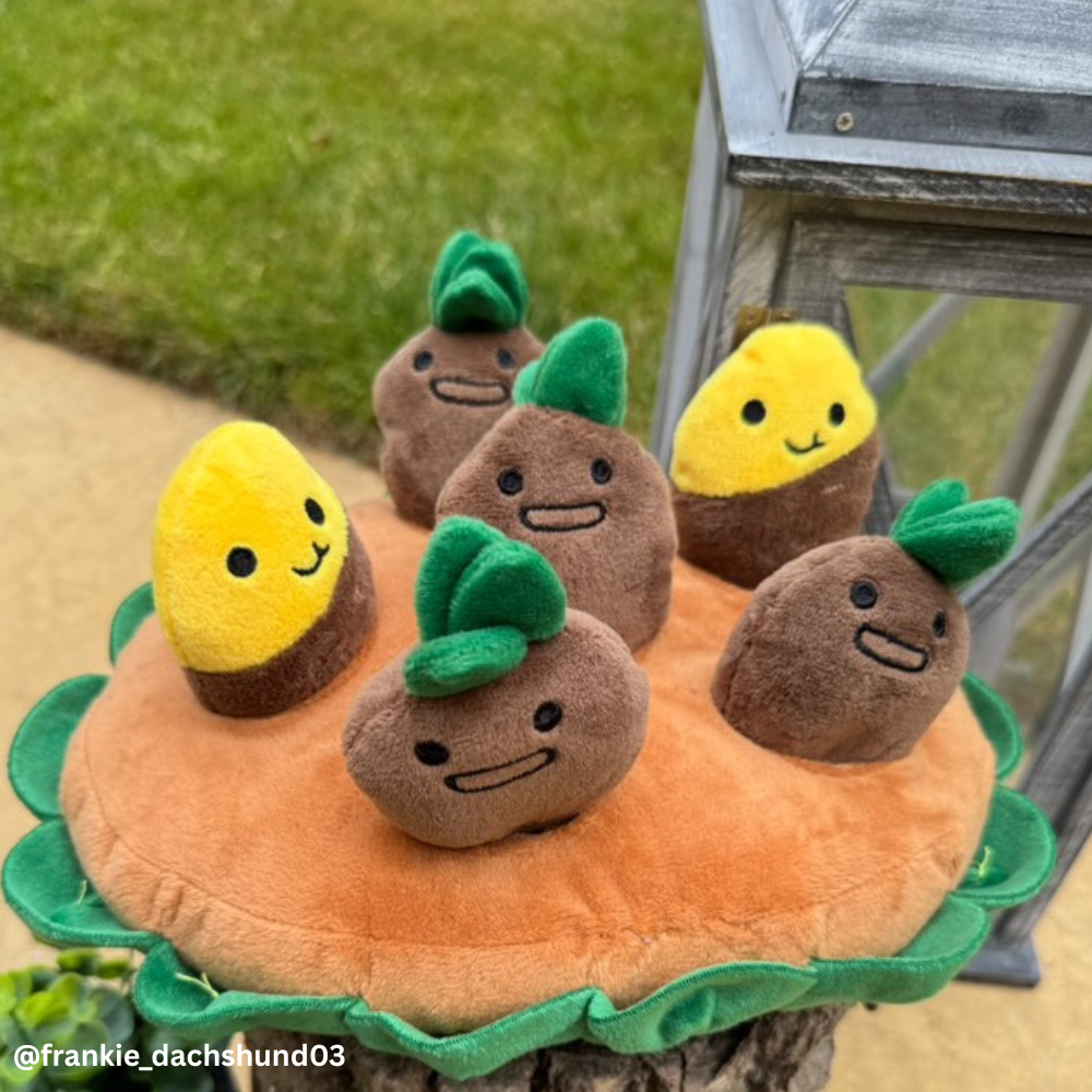 Potato Snuffle Mat
