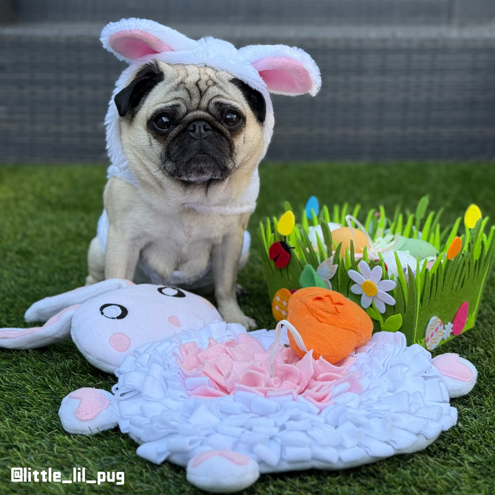 Rabbit Snuffle Mat