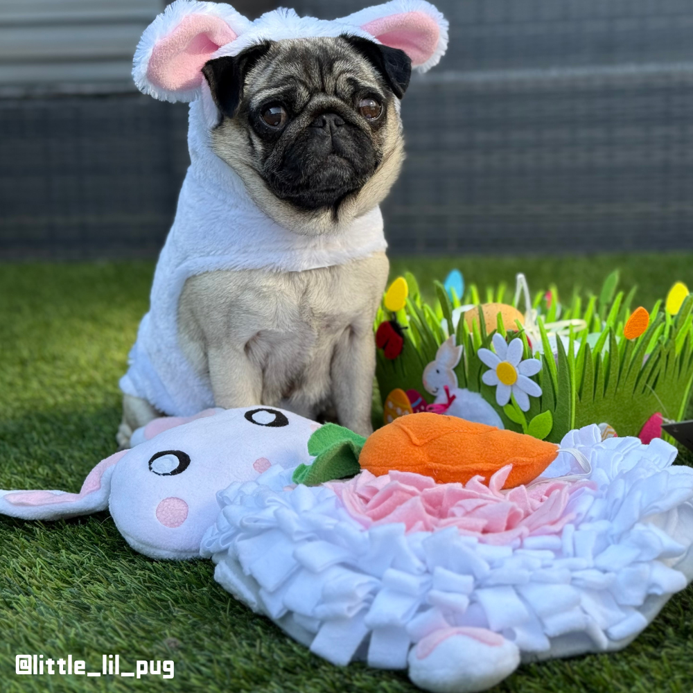 Rabbit Snuffle Mat