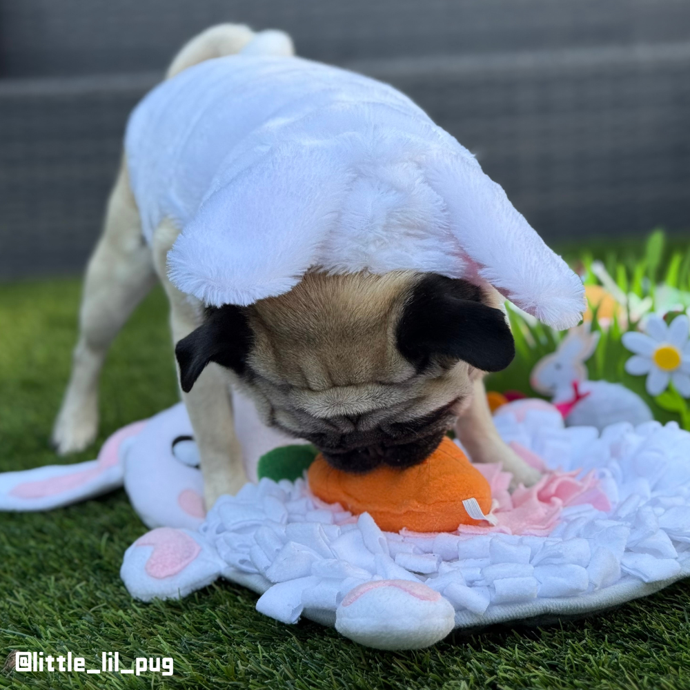 Rabbit Snuffle Mat