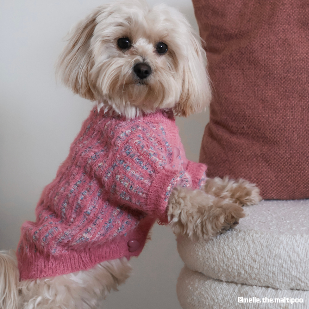 Rainbow Sweater With Heart Button