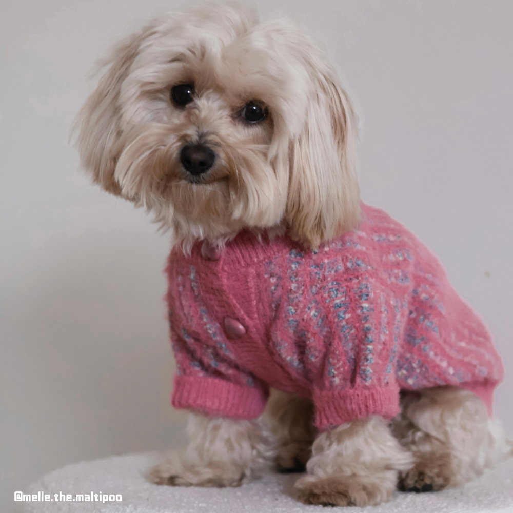 Rainbow Sweater With Heart Button