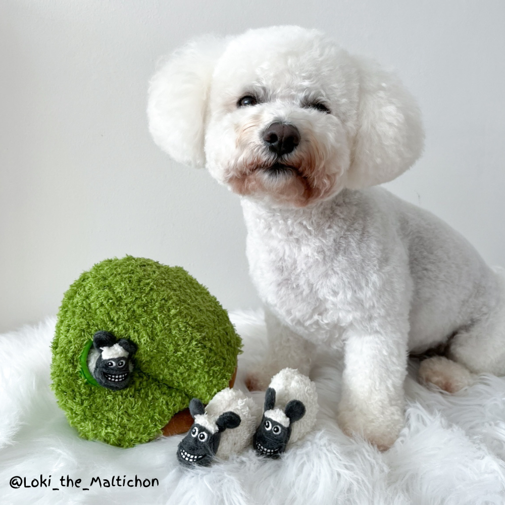 Sheep Burrow Toy