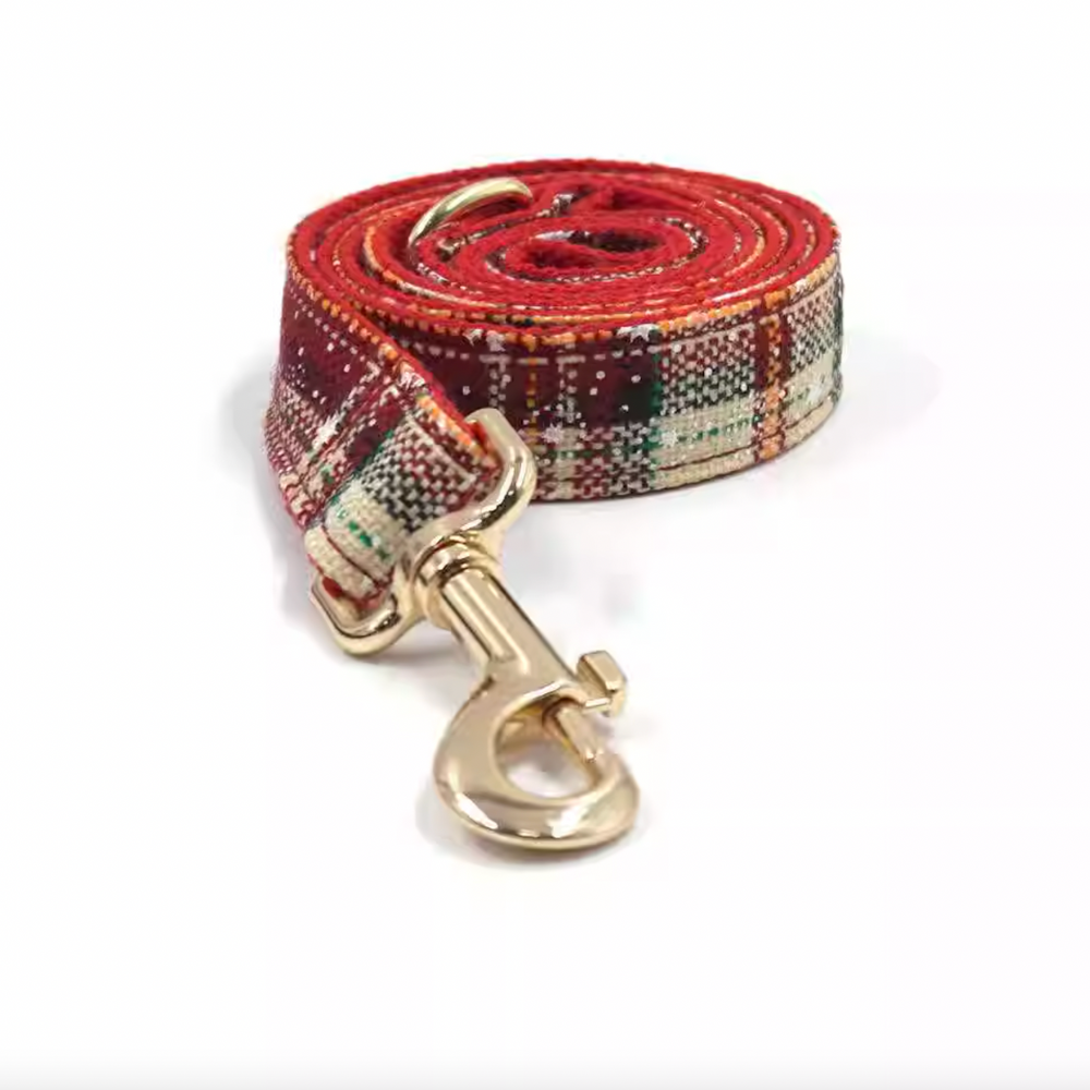 Christmas Snowflake Leash