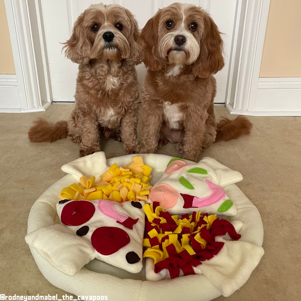 Pizza Shaped Snuffle Mat