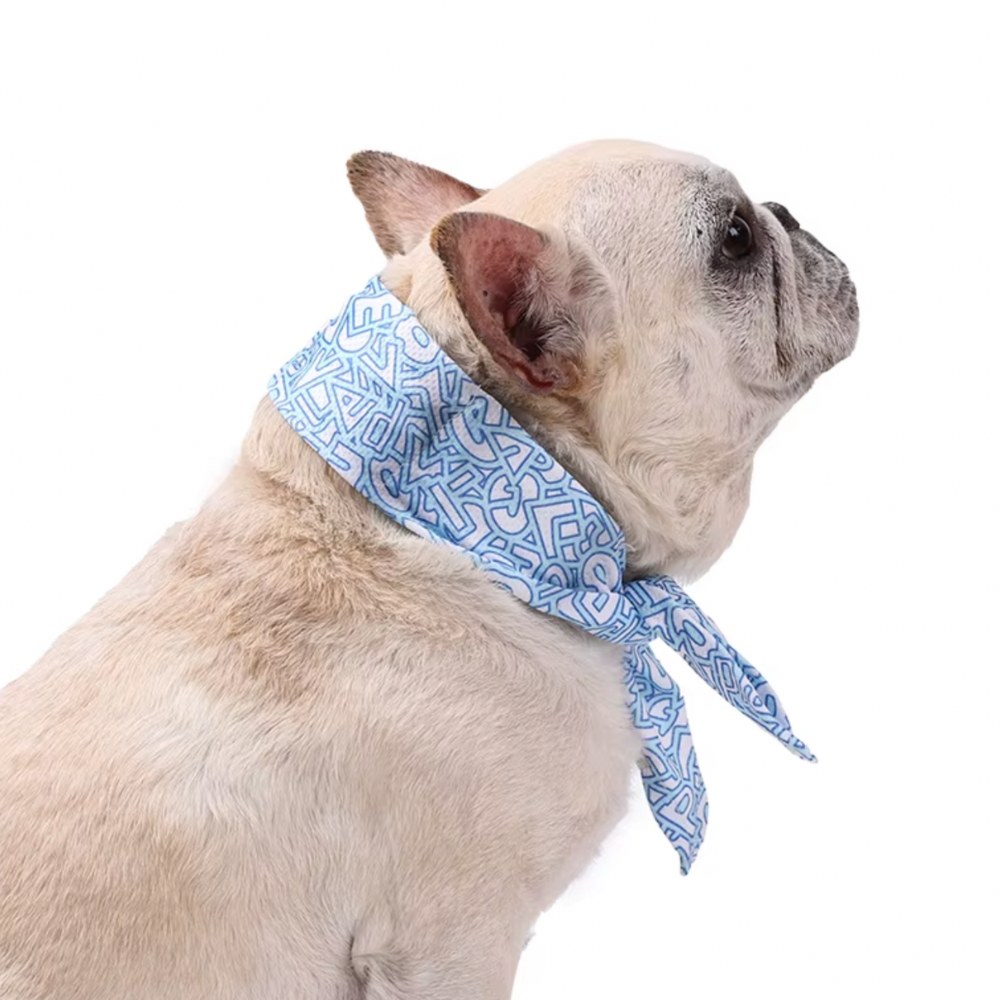 Summer Bib