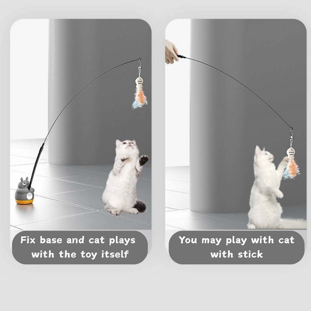 Fish Cat Teaser Wand