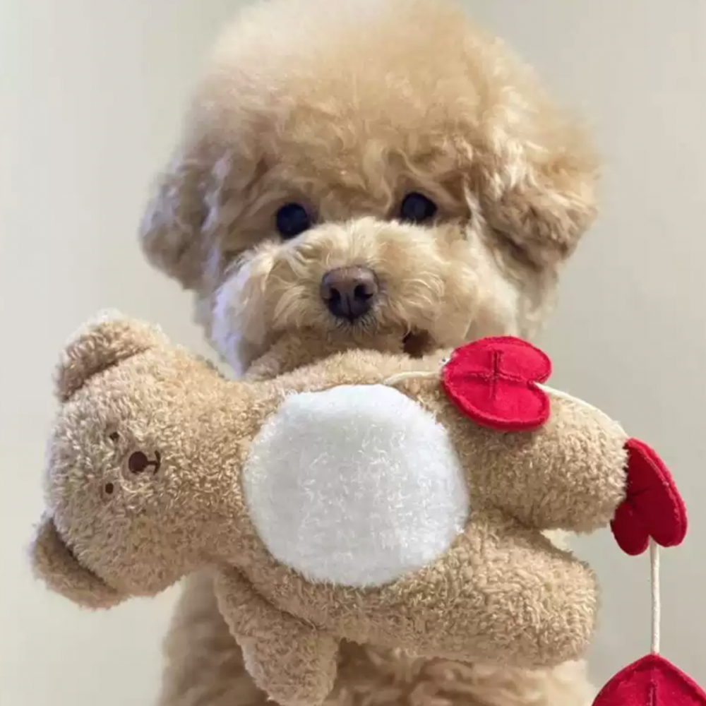 Teddy Bear Plush Toy With Hearts