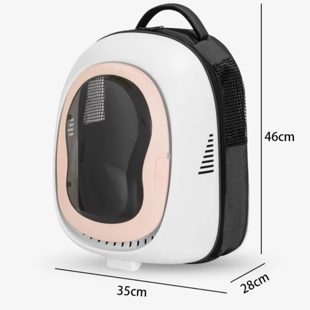 Transparent Carrier Backpack