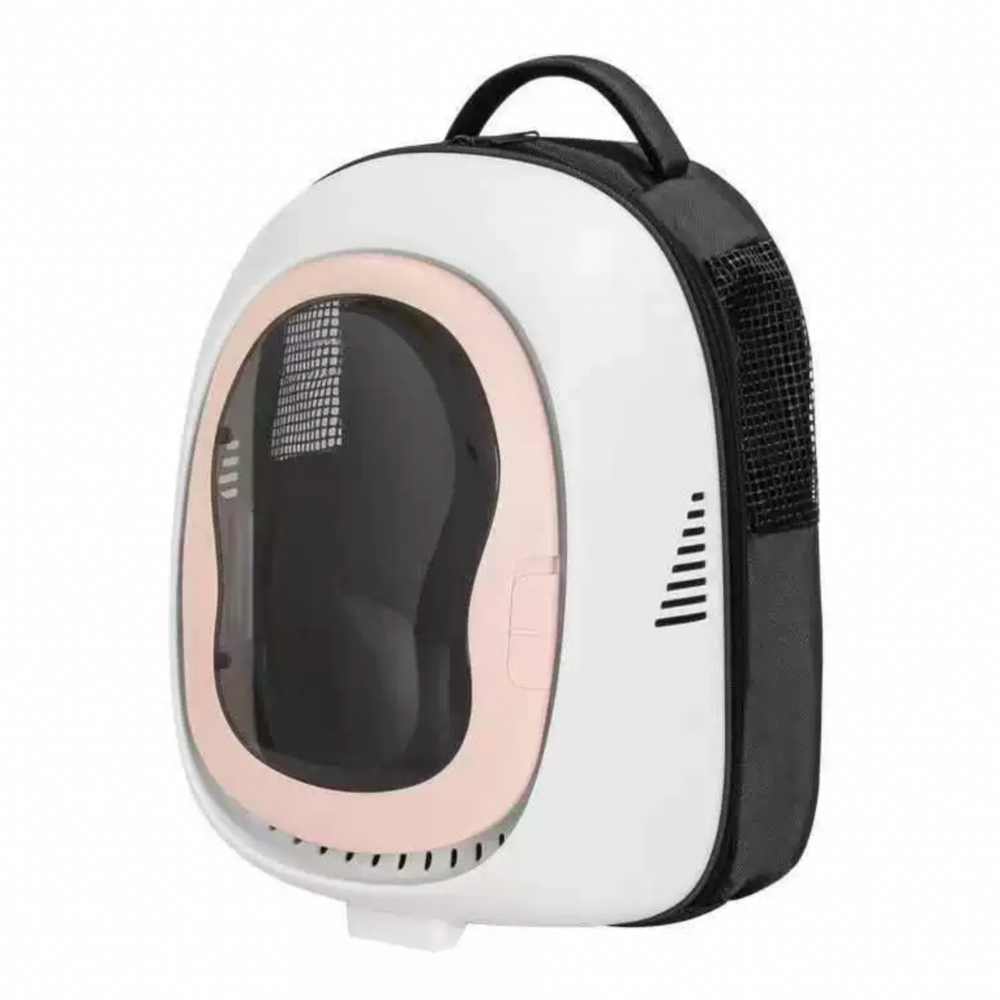 Transparent Carrier Backpack