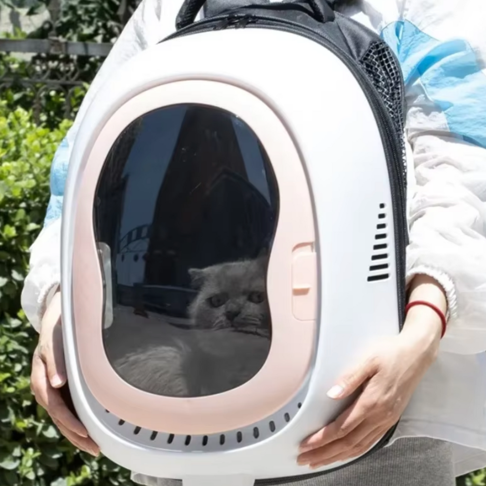 Transparent Carrier Backpack