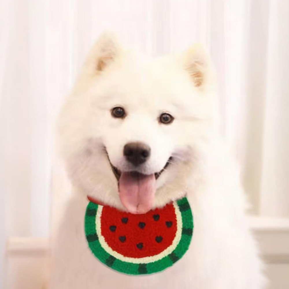 Watermelon Pet Saliva Bib