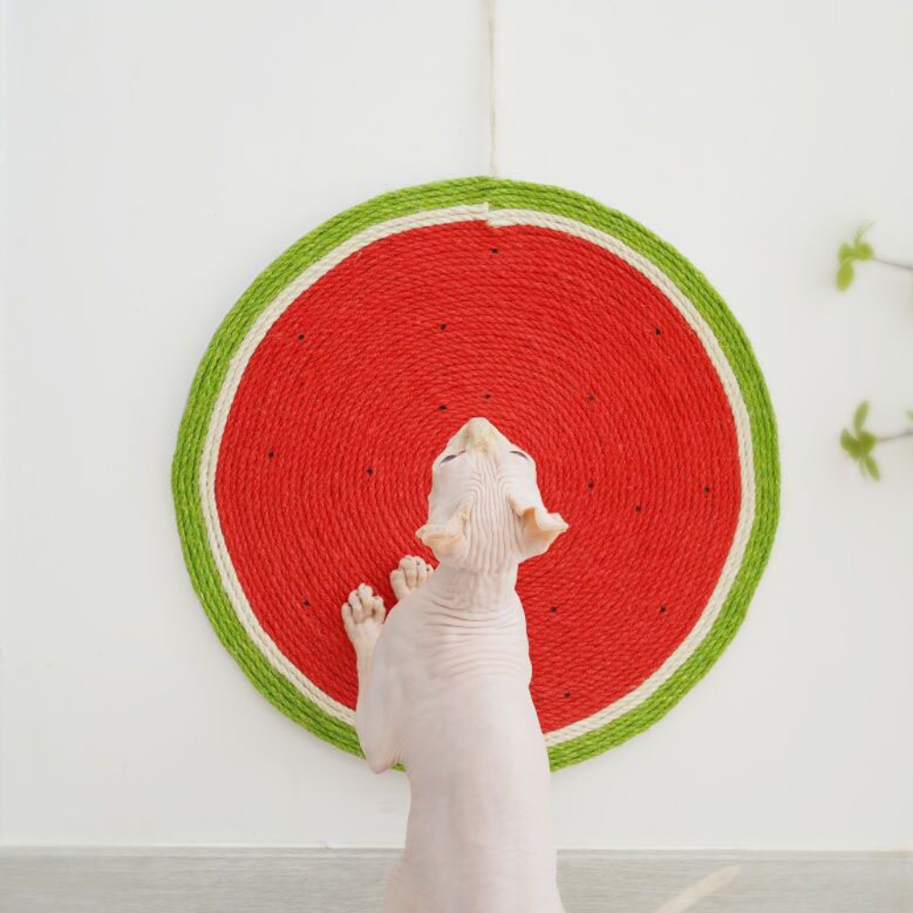 Watermelon Shaped Scratcher