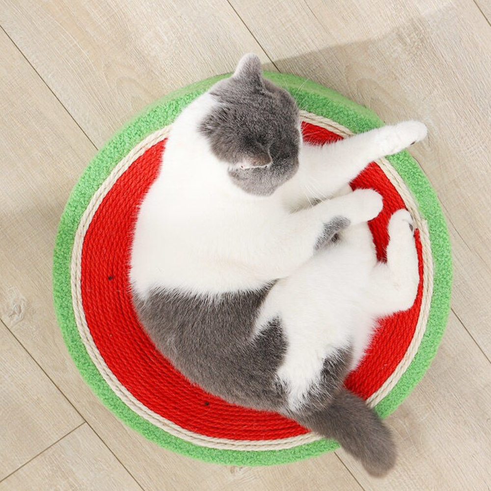 Watermelon Shaped Scratcher