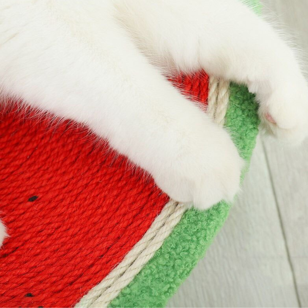 Watermelon Shaped Scratcher