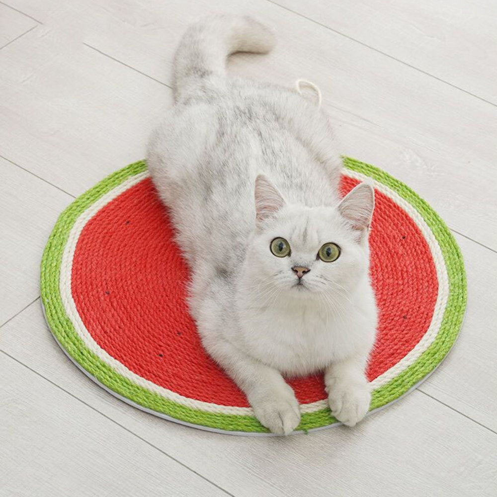 Watermelon Shaped Scratcher