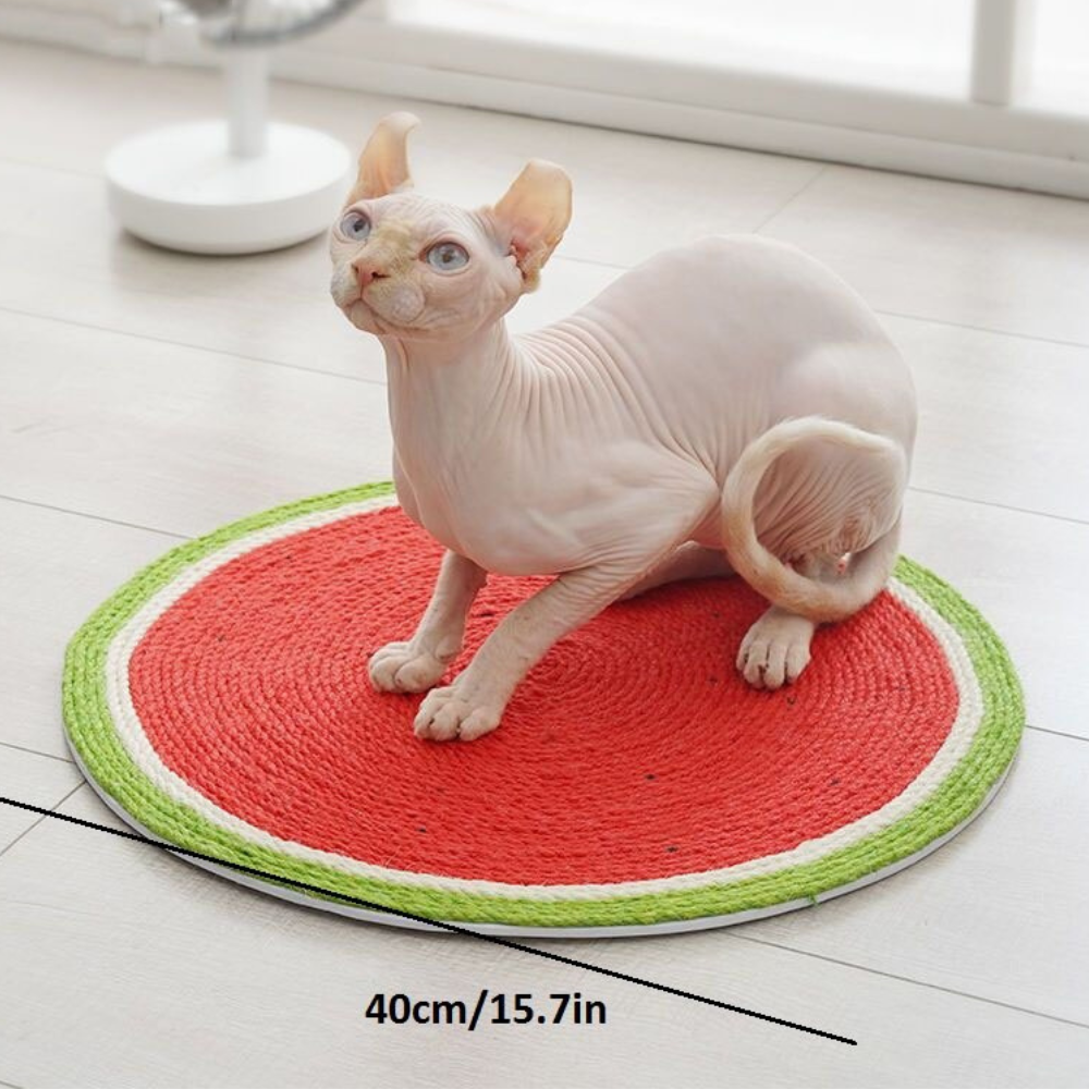 Watermelon Shaped Scratcher