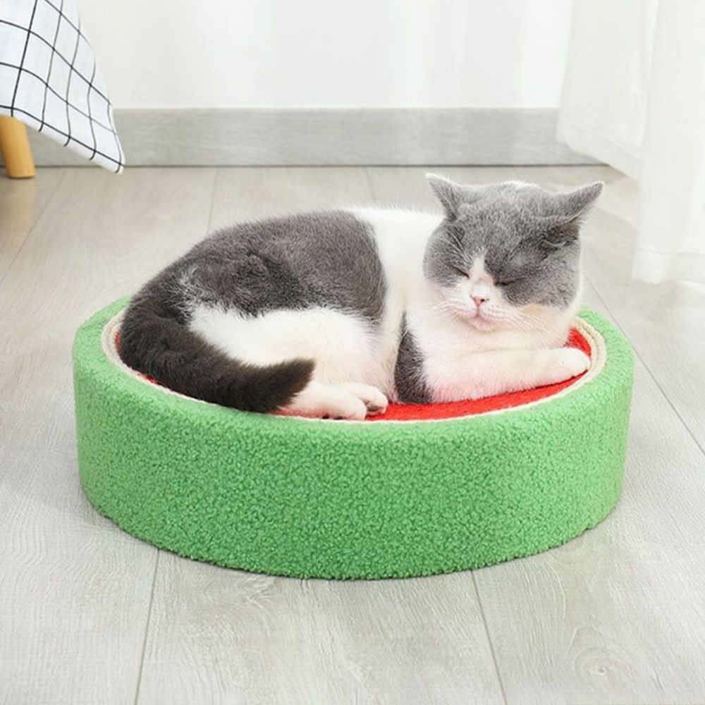 Watermelon Shaped Scratcher