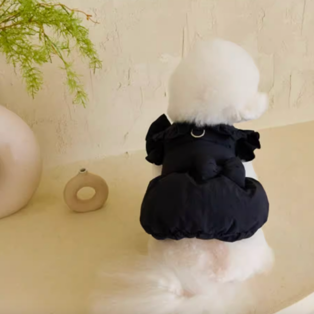 Winter Navy Vest Harness