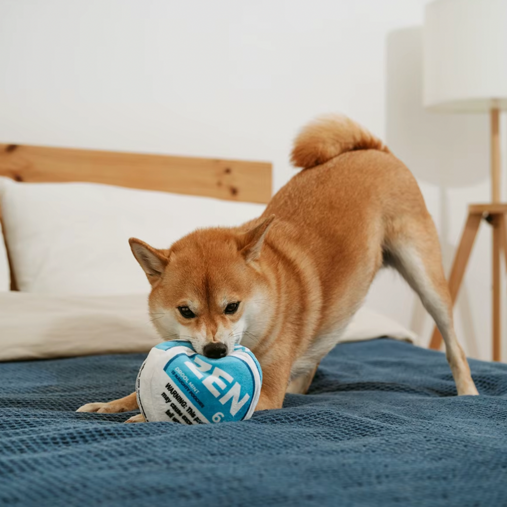 Plush Squeaky Toy