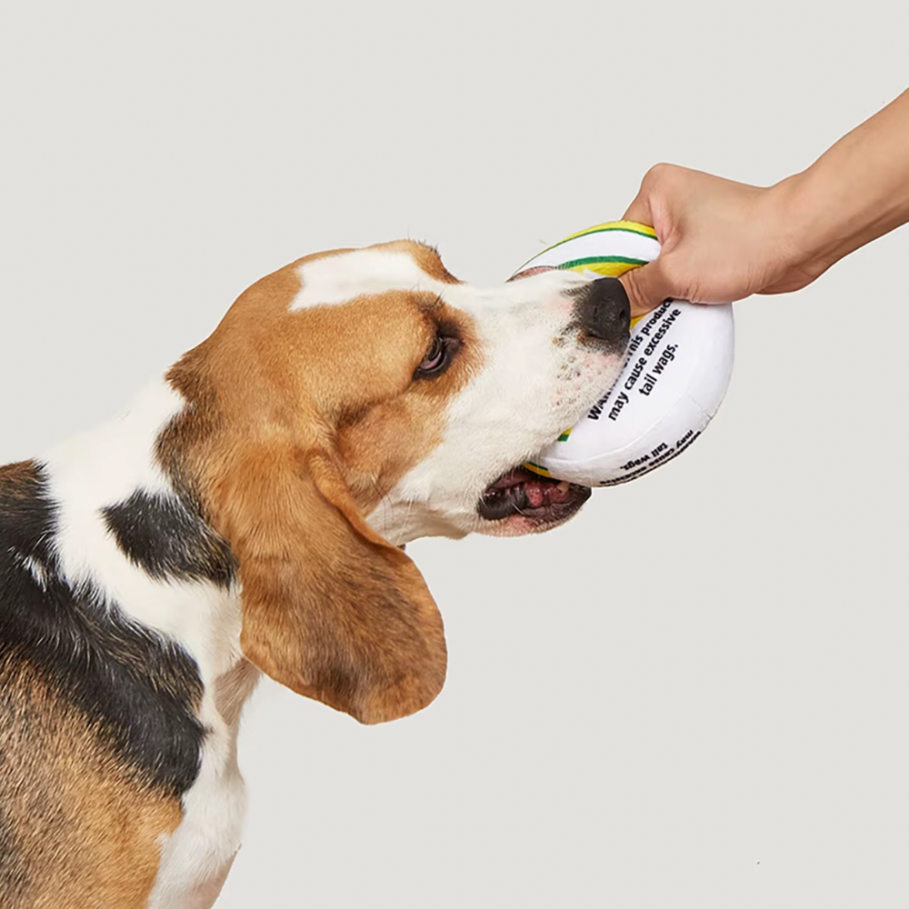 Plush Squeaky Toy