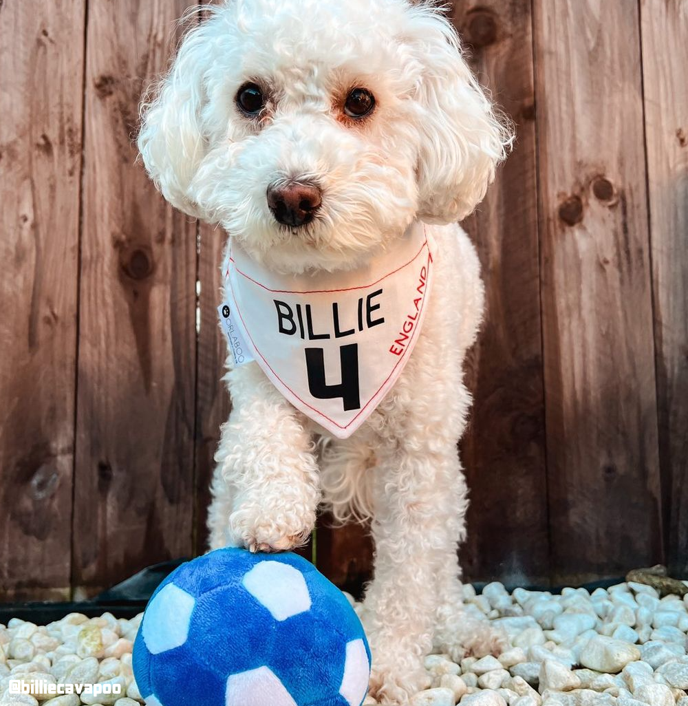 Squeaky Football